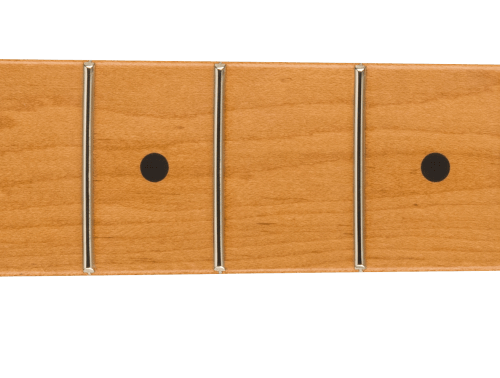 Limited Edition 1952 Telecaster Roasted Maple Neck