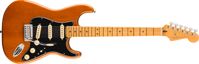 Limited Edition Player Plus Stratocaster®