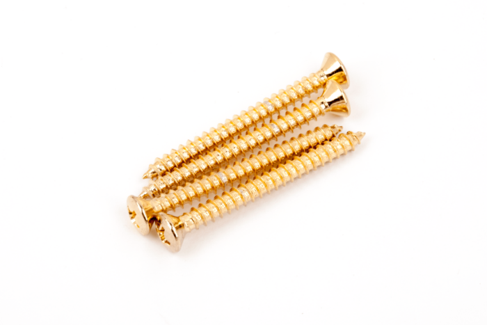 Neck Mounting Screws (4) - Gold