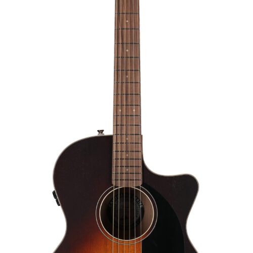 Fender Newporter Special A/E Honey Burst W/B