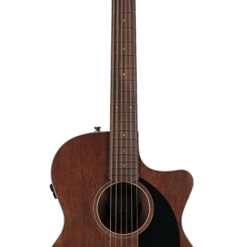Fender Newporter Special A/E Natural W/B