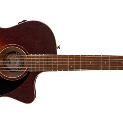 Newporter™ Special - Honey Burst / Pau Ferro / Solid Okoume