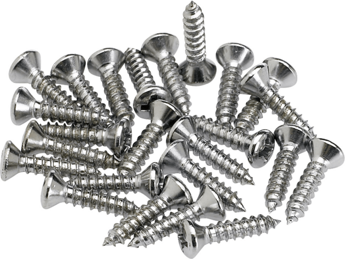 Pickguard - Control Plate Mounting Screws (24) - Chrome