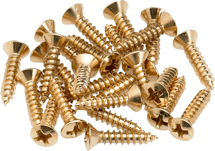 Pickguard - Control Plate Mounting Screws (24) - Gold