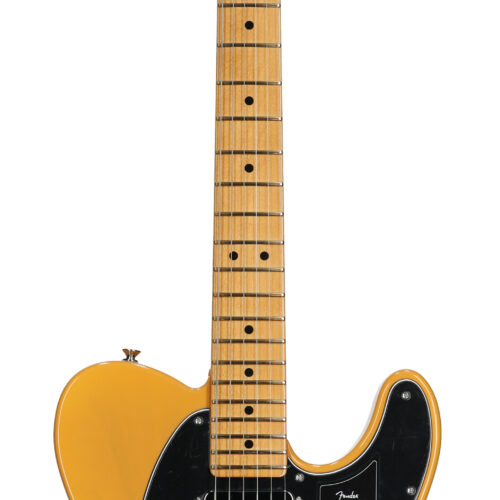 Fender Player II Tele Cham Ash MN Bttrsctch Blond