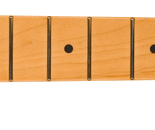 Player Plus Stratocaster® Neck