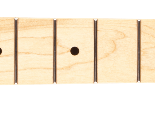 Standard Series Stratocaster® Neck