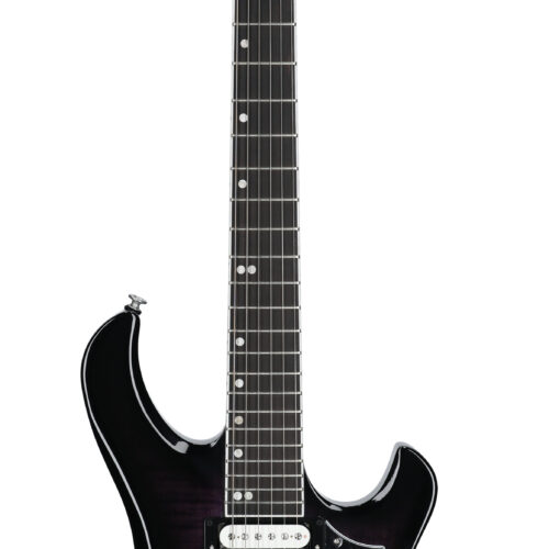 Gibson Victory Figured Top Dark Purple Burst W/C