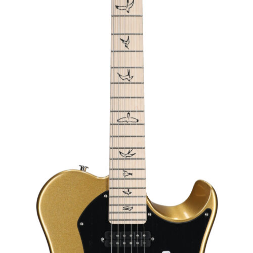 PRS Myles Kennedy Egyptian Gold Metallic
