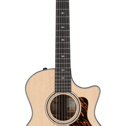 Taylor 354ce 12-String Acoustic Electric Guitar