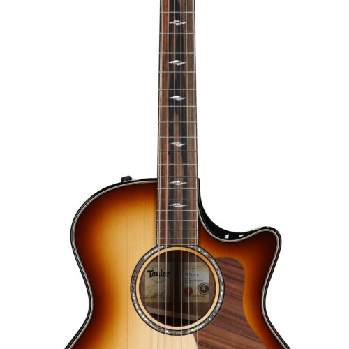 Taylor Builders Edition 814ce Honduran RW Adirond