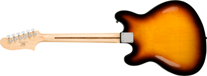 Affinity Series® Starcaster® - Image 2