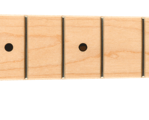 American Professional Stratocaster Neck