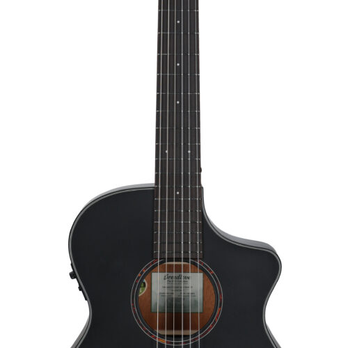 Breedlove Discovery S Concert CE Nylon Satin Blck