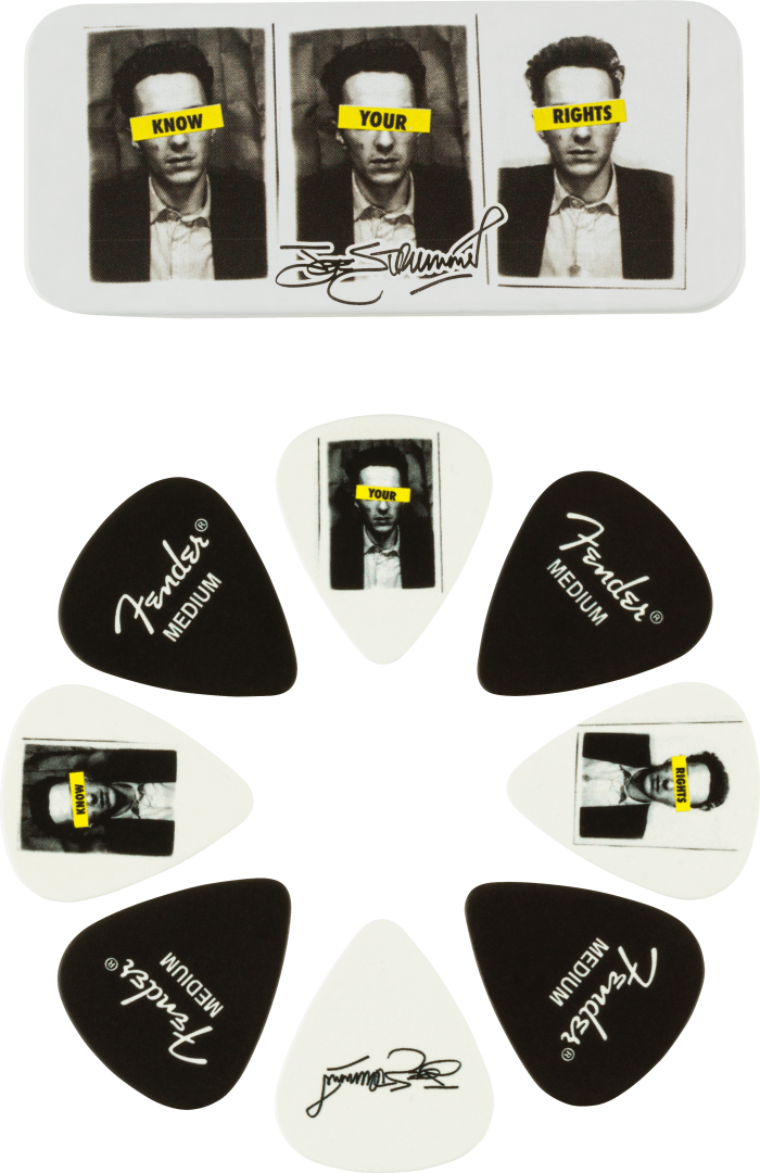 Medium - 8 Pack