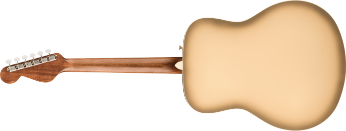 Limited Edition California Vintage Palomino™ Antigua - Image 2