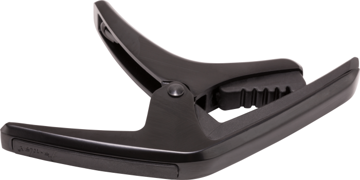 Phoenix Capo - Image 2