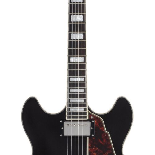 DAngelico Premier DC Black Flake with Gigbag
