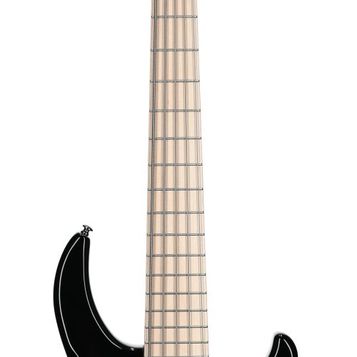 MTD Kingston Saratoga Deluxe 5 String Bass TBB