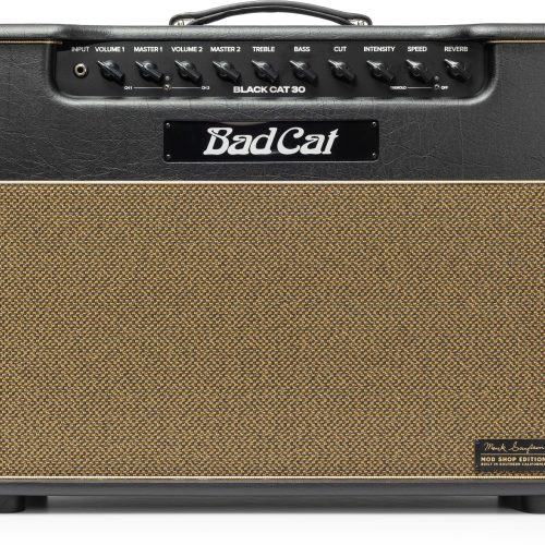 Bad Cat Mark Sampson Modified Black Cat Combo 30w