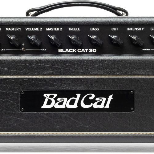 Bad Cat Mark Sampson Modified Black Cat Head 30w