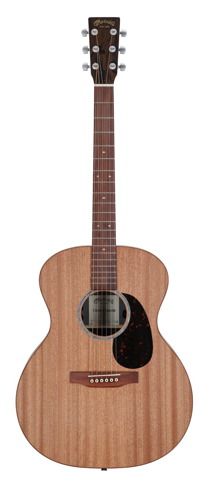 Martin GP-X2E Ziricote Special A/E with Soft Case