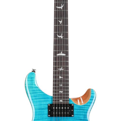 PRS SE Custom 24 Exclusive Blue Matteo Nat. Back