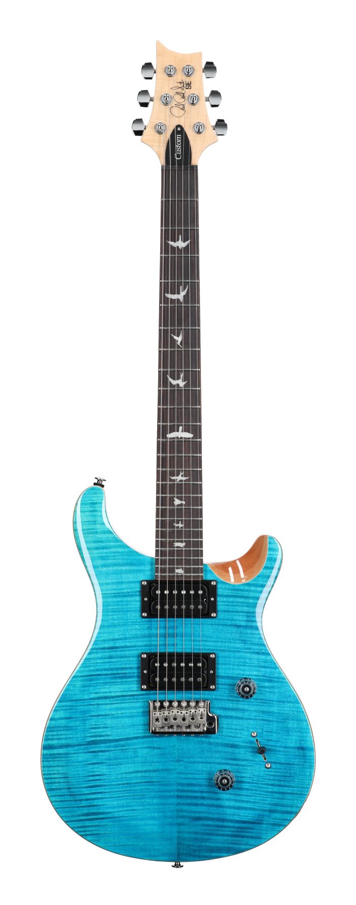 PRS SE Custom 24 Exclusive Blue Matteo Nat. Back