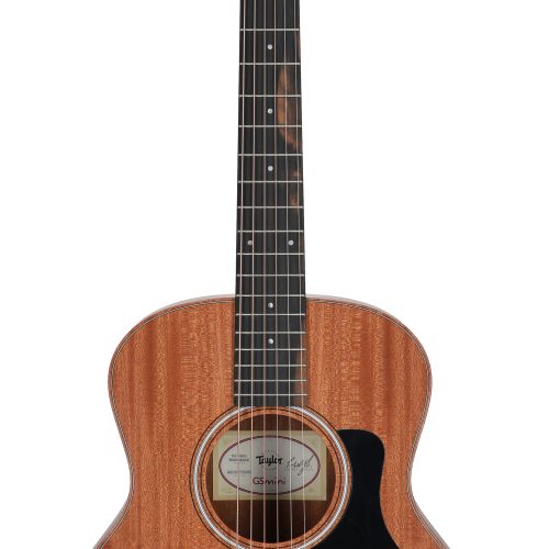 Taylor GS Mini Mahogany w/Bag