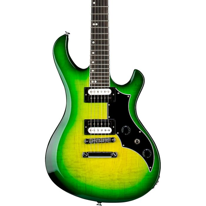 Gibson Victory Figured Electric Guitar Iguana Burst