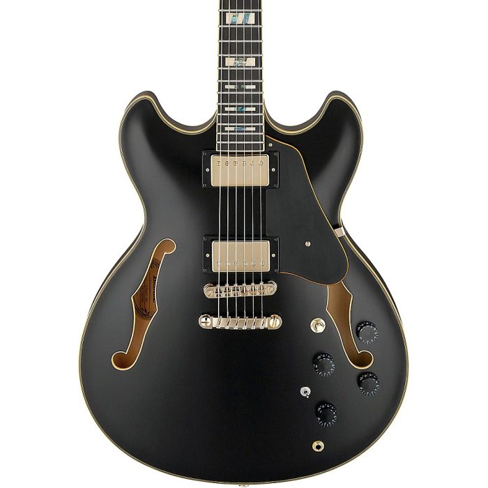 Ibanez JSM20 John Scofield Signature Electric Guitar Black Low Gloss